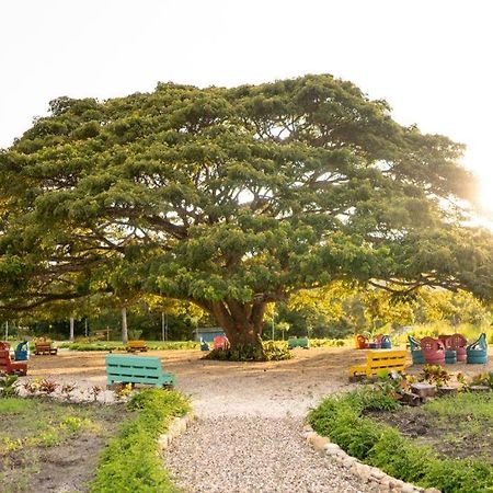 Villa Hacienda La Huerta, Puerto Plata Exterior foto